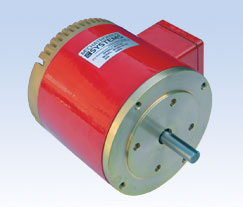 Integrated VFD Servo Motor Drive